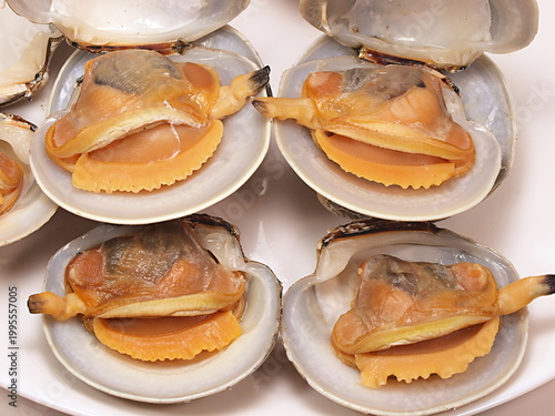 ボイルしたカガミガイ