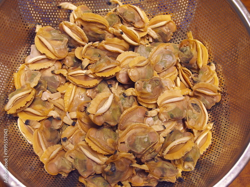 ボイルしたカガミガイ