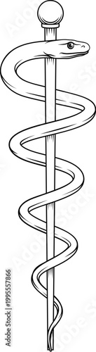 Rod of Asclepius or Aesculapius doctor medical symbol, often mislabelled as a caduceus. Features a snake curled around a staff.