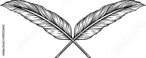 Crossed ink pen feather quills illustration in a vintage woodcut engraved etching style. Notary, academic, archival and scholarly or writing or poetry symbol.