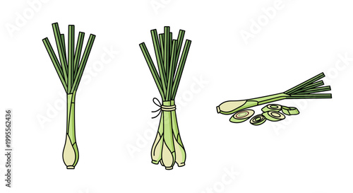 Fresh Lemongrass stalks tied together and sliced on a white background illustration