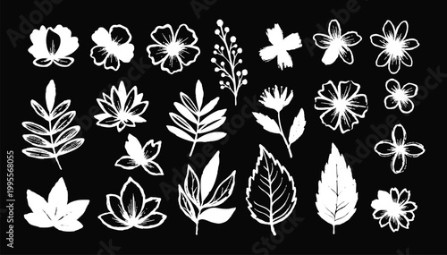 Chamomile flowers in abstract ink style. Hand drawn brush floral silhouettes with sketch strokes, leaves and branches. Black grunge paint blossoms, natural botanical forms.