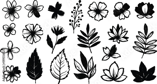 Chamomile flowers in abstract ink style. Hand drawn brush floral silhouettes with sketch strokes, leaves and branches. Black grunge paint blossoms, natural botanical forms.