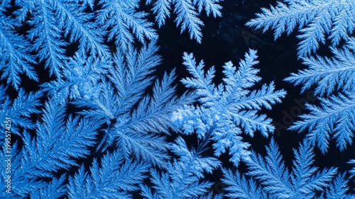 Close-up of blue ice crystals forming on a dark background.