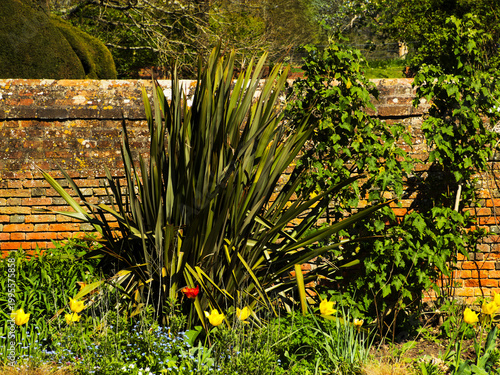 Old walled gardeb warwickshire Emgland UK