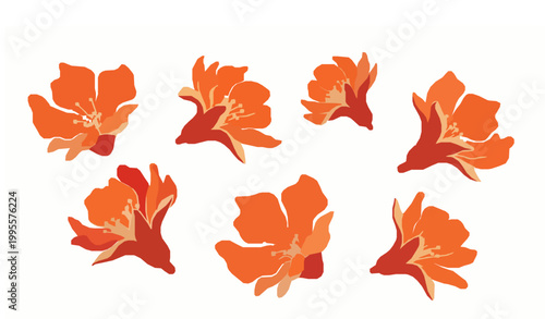 Pomegranate flower and fruit vector set dalim botanical elements colorful collection