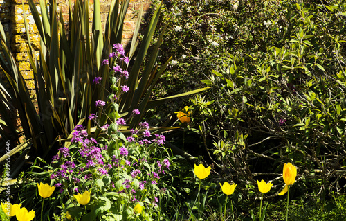 Old walled gardeb warwickshire Emgland UK