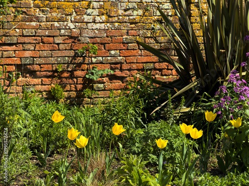 Old walled gardeb warwickshire Emgland UK