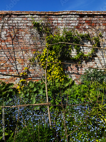 Old walled gardeb warwickshire Emgland UK