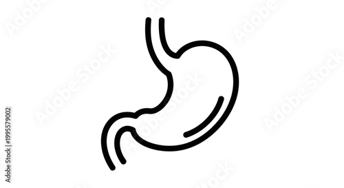 Anatomical illustration of the human stomach, a vital organ for digestion, presented as a clean and simple line drawing icon