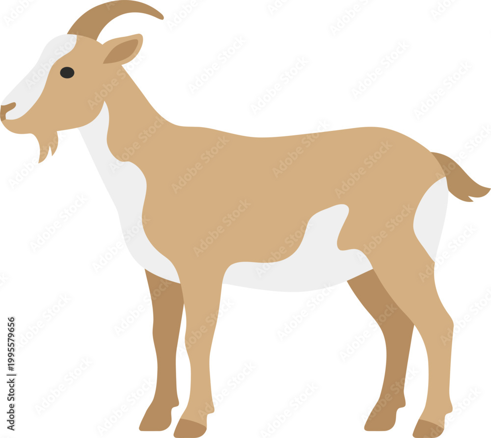 Fototapeta premium Vector illustration of a domestic goat standing on a white background, a common farm animal