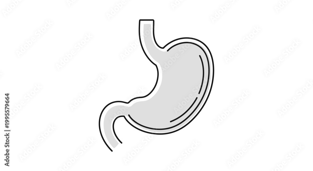 Fototapeta premium Simple Line Drawing of the Human Respiratory System, Focusing on the Lungs and Trachea