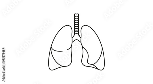 Detailed vector illustration of the human ear anatomy, showcasing external, middle, and inner ear structures with labels for educational and scientific purposes