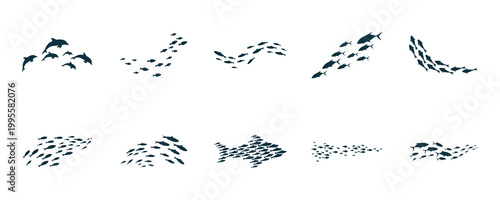Fish School Silhouette Icon Set
