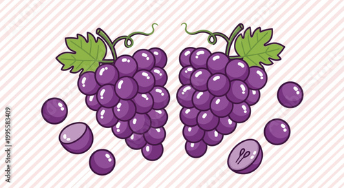 A charming illustration depicts two bunches of ripe purple grapes with scattered individual berries