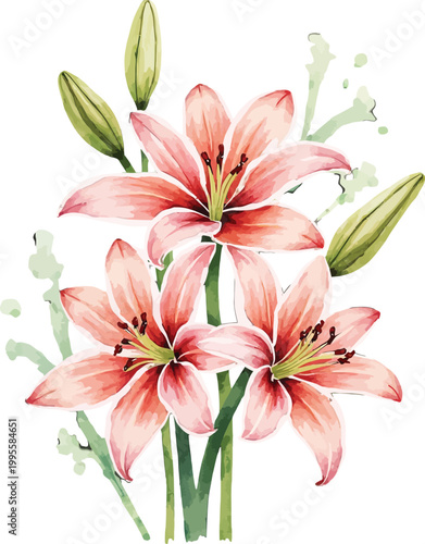 Pink Stargazer Lily Bouquet with Green Stems and Buds