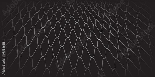 Fishing or soccer net. Repeated hexagon pattern. Black wired mesh texture isolated on white background.ilustrasion modern.