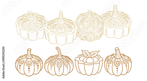 Set of decorative pumpkin line art illustrations for fall season