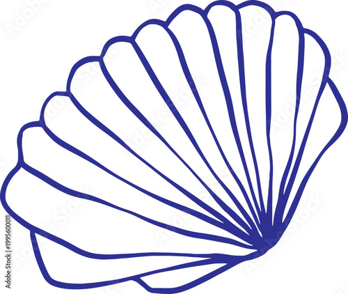 Scallop Shell
