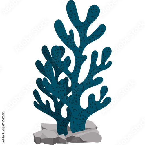 Sea ​​Coral Illustration