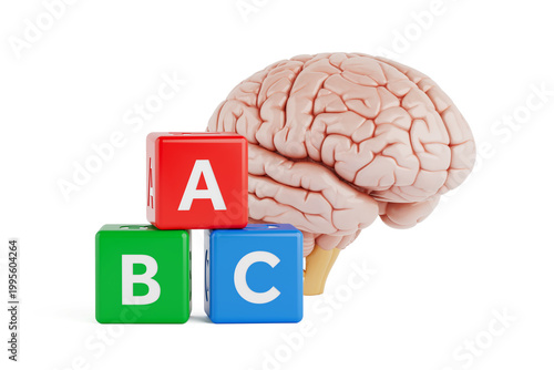 Learning And Cognitive Development Concept. Human Brain With ABC Alphabet Blocks On White Background. 3d Rendering