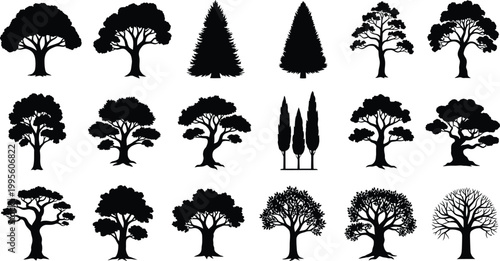 Collection of silhouetted trees diverse shapes and forms in black and white
