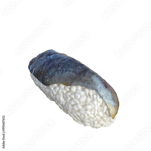 Delicious piece of nigiri sushi with seafood on top