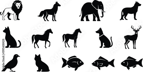 Silhouette collection of diverse animals mammals fish and more