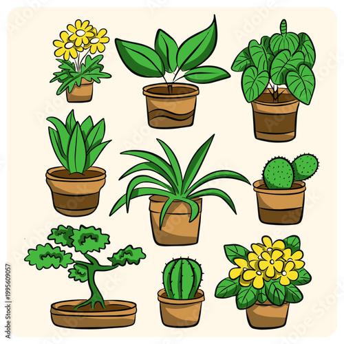 Set of Potted Houseplants and Green Indoor Flowers