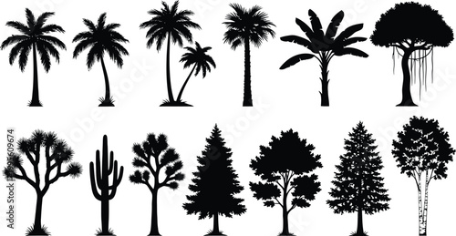 Silhouette collection diverse tropical and temperate trees against a white background