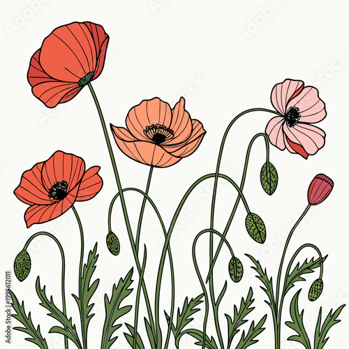 A vibrant illustration depicts several red and pink poppy flowers with delicate petals slender green stems and detailed black centers high quality professional modern elegant stylish
