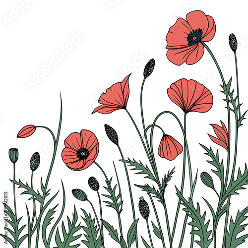 A whimsical illustration features vibrant red poppies and seed pods against a clean white background showcasing delicate floral arrangements high quality professional detailed modern elegant stylish