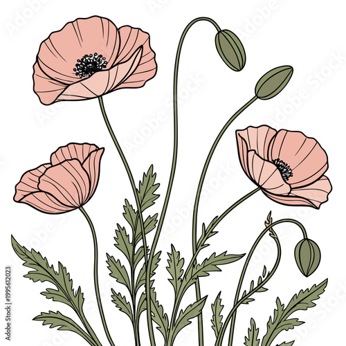 A delicate illustration showcases three pink poppies with dark centers and slender green stems contrasted against a clean white background high quality professional detailed modern elegant