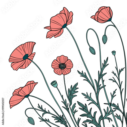 A delicate illustration features several vibrant red poppies with slender green stems and leaves against a clean white background high quality professional detailed modern elegant stylish