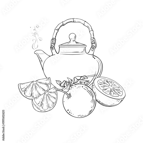 Orange Tea in Teapot aroma beverage Outline Illustration. Vector isolated for Design and Decoration for Cafeteria, Posters, Banners, Cards.
