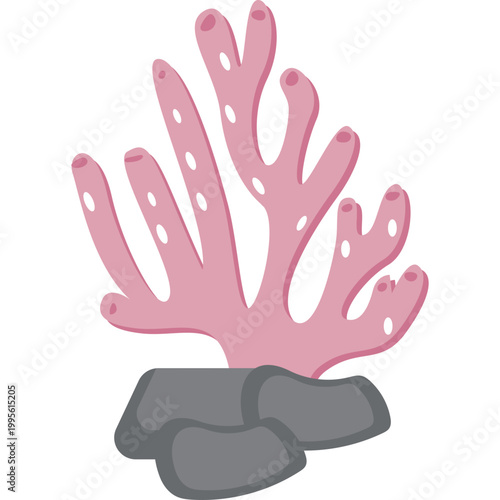 Sea ​​Coral Illustration