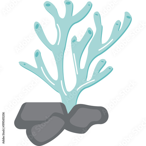 Sea ​​Coral Illustration