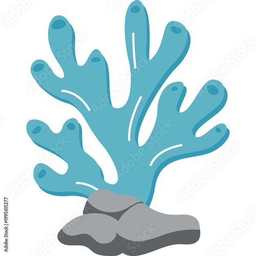 Sea ​​Coral Illustration