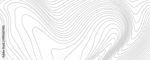 Topography background. Vector banner. Topography map background. Vector geographic contour map. Background of the topographic map.