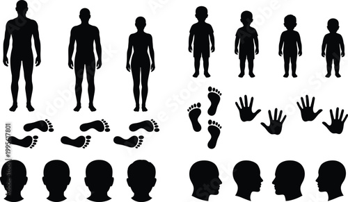 Collection of human body silhouettes featuring various growth stages footprints handprints and head profile icons for medical identification forensic and developmental health concepts