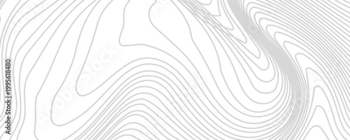 Topography background. Vector banner. Topography map background. Vector geographic contour map. Background of the topographic map.