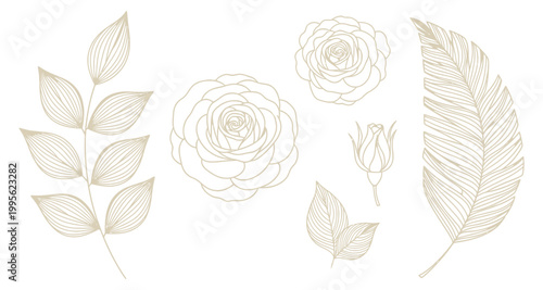 Delicate botanical line art with roses and leaves in gold on white background
