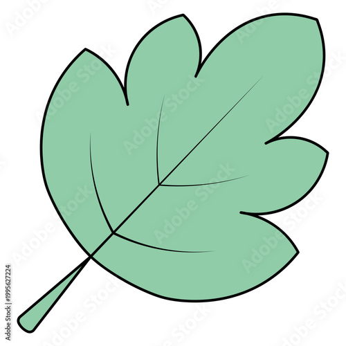 Green maple leaf. Part of a beautifully shaped tree with veins. Color vector illustration. Isolated on white background. Idea for web design.