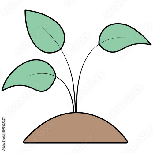 Three green leaves on twigs on a pile of brown soil. A sprouted seed has emerged from the ground. Color vector illustration. Isolated on white background. Seedling sprout.