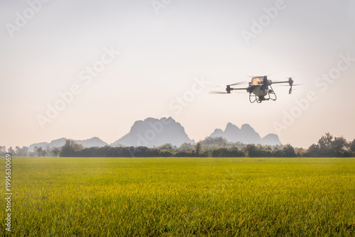 Smart farming with drones, Agricultural drones fly to spread fertilizer in rice fields in the morning.