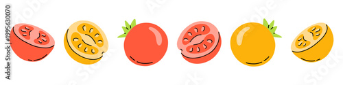 Vector set of whole and sliced red and yellow tomato. Bright juicy vegetable cute illustration for summer recipe, salad ingredient and fresh organic food design. Trendy colorful tomato collection.