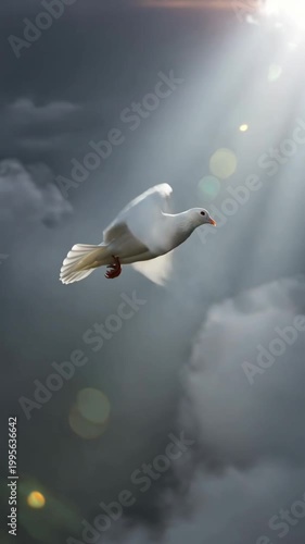White dove flying through clouds toward divine light from heaven, vertical footage
