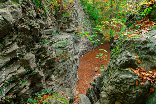 Εκτύπωση καμβά Deep canyon with rocky walls and autumn leaves covering the ground