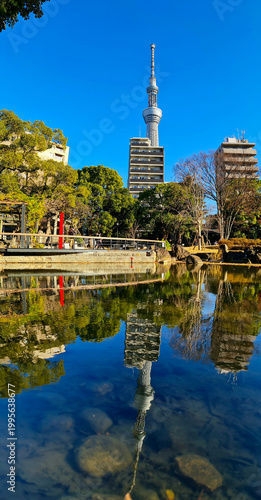 Tokyo Skytree Tower with a park pond and autumn foliage and city trees in the background.