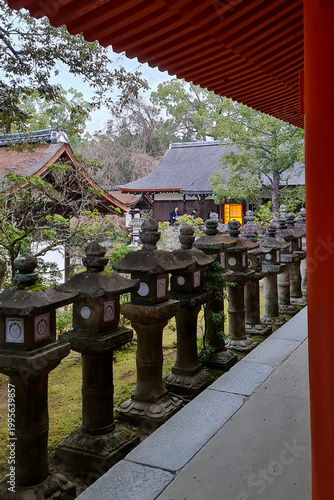 Ancient Stone Lanterns in Nara Japan